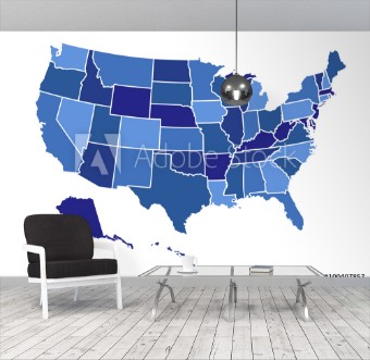 Picture of USA map vector illustration art on white background